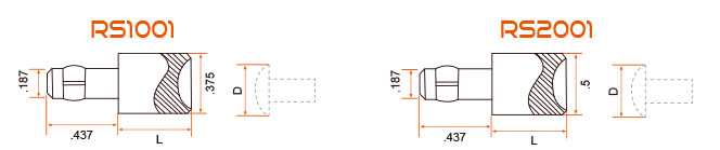 rs1001_pic01.jpg