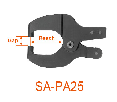 sa-pa25_pic1.jpg
